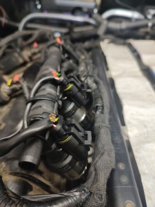 IMG_20250610_134143481